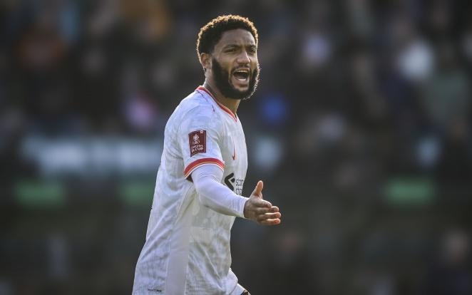 城市体育基 城市体育基