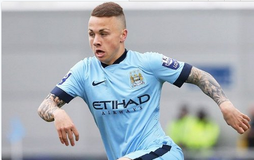 林的环境中 林的环境中