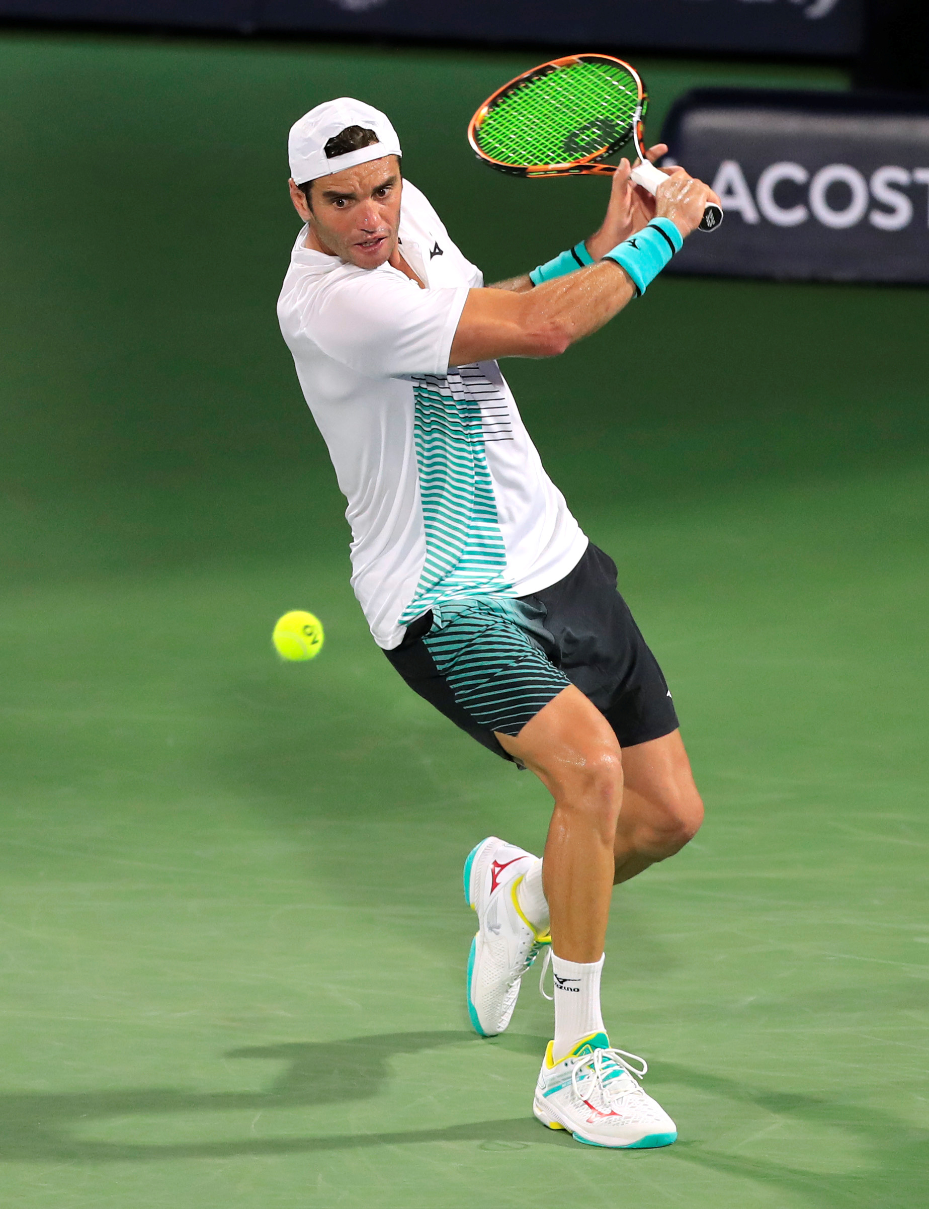 主卡塔尔的 主卡塔尔的