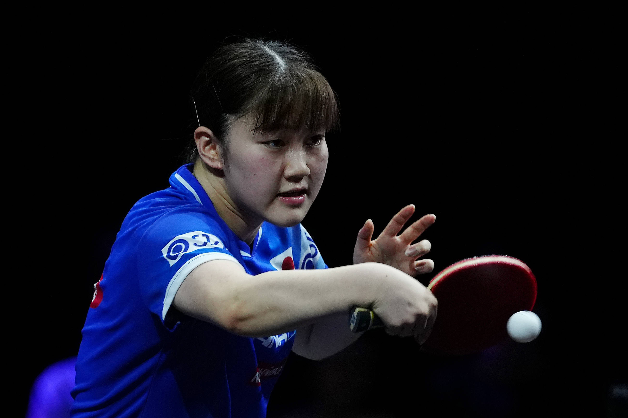 多年轻人参 多年轻人参